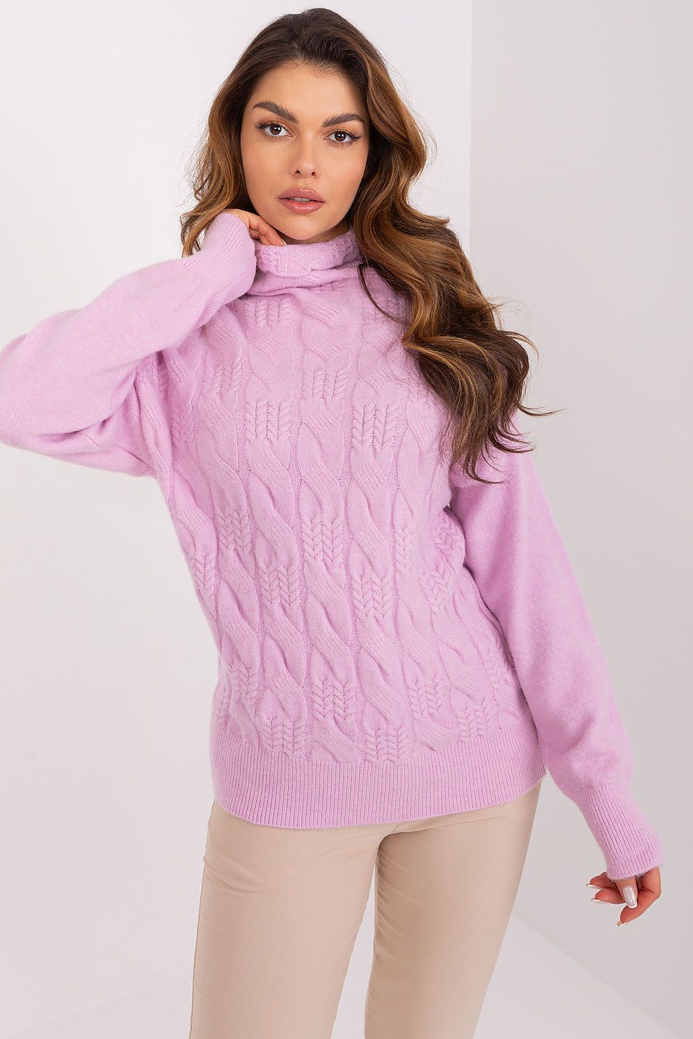 Turtleneck model 208309 AT