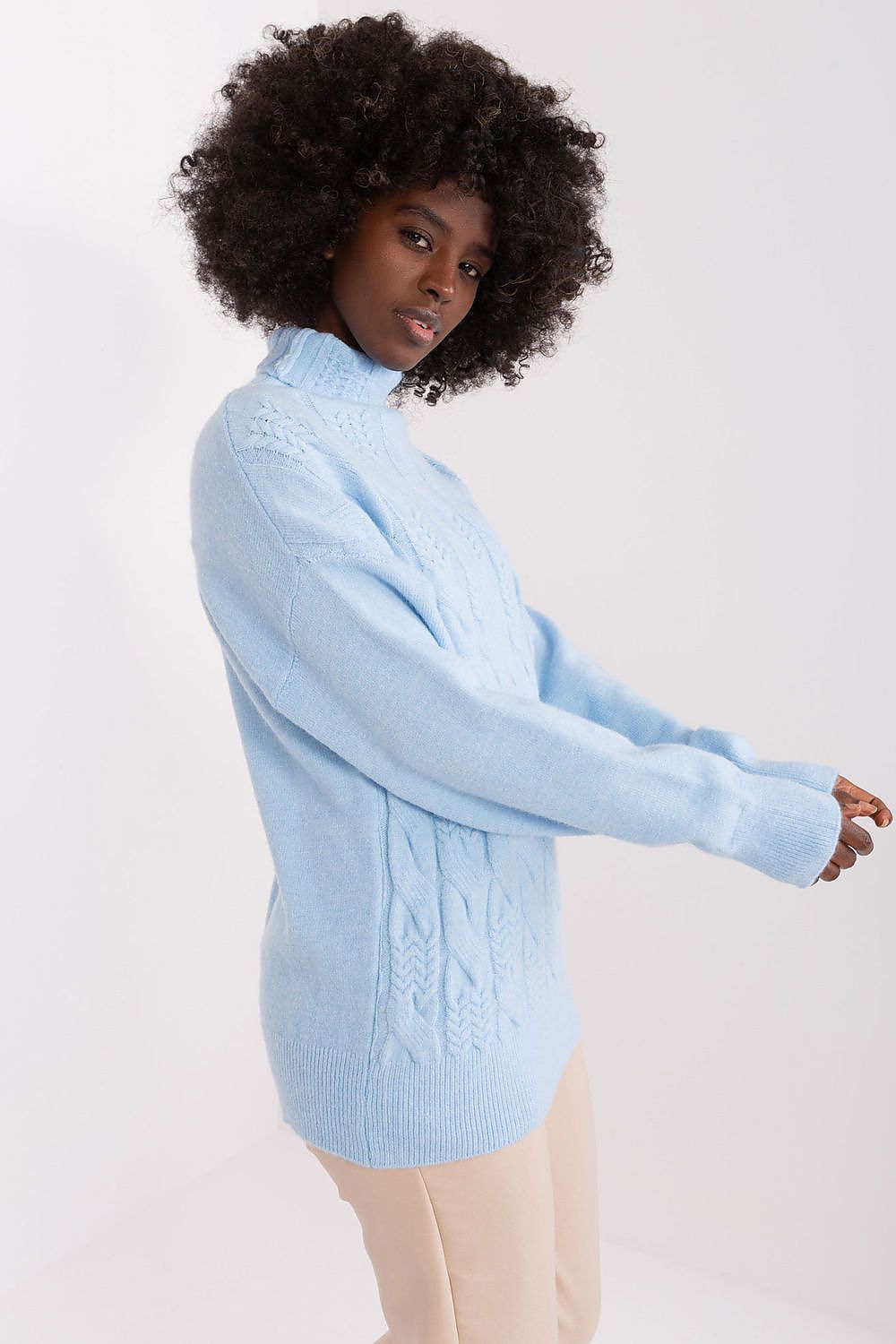 Turtleneck model 208310 AT