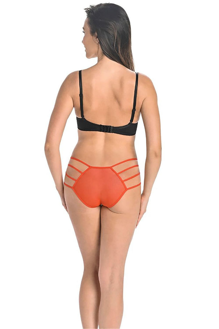 Bragas Teyli