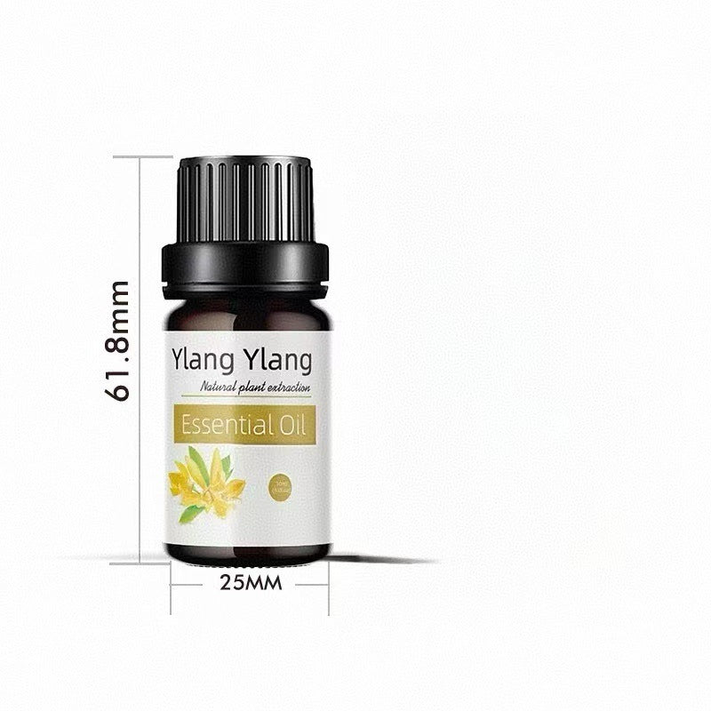 ✨ Preserved Rose & White Tea Botanical Body Care Essential Oil (10ml) 🌹🍃💧