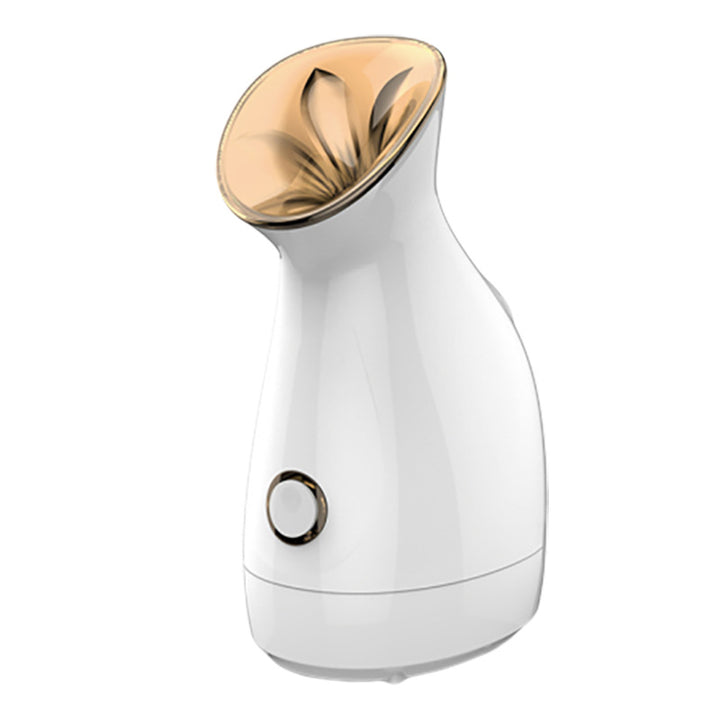 💨💧 Nano Ion Water Supply Instrument | Facial Steamer Moisturizing Spa Device
