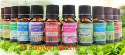 🌿 Plant Aromatherapy Essential Oil