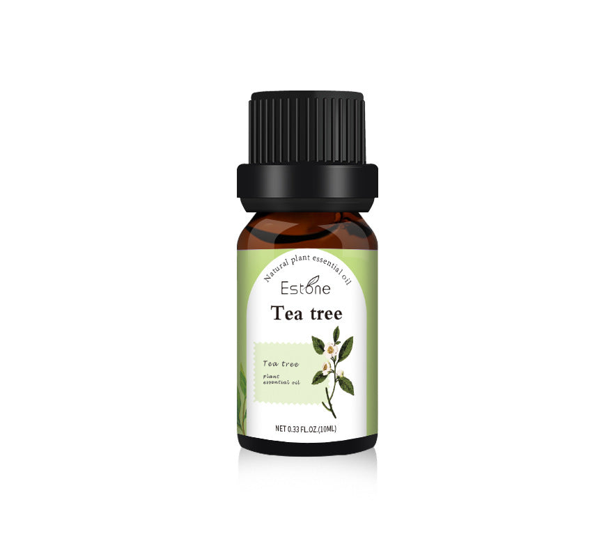 ✨ Plant Aromatherapy Essential Oil — Massage & Fragrant Stone Use (10ml) 🌿💧