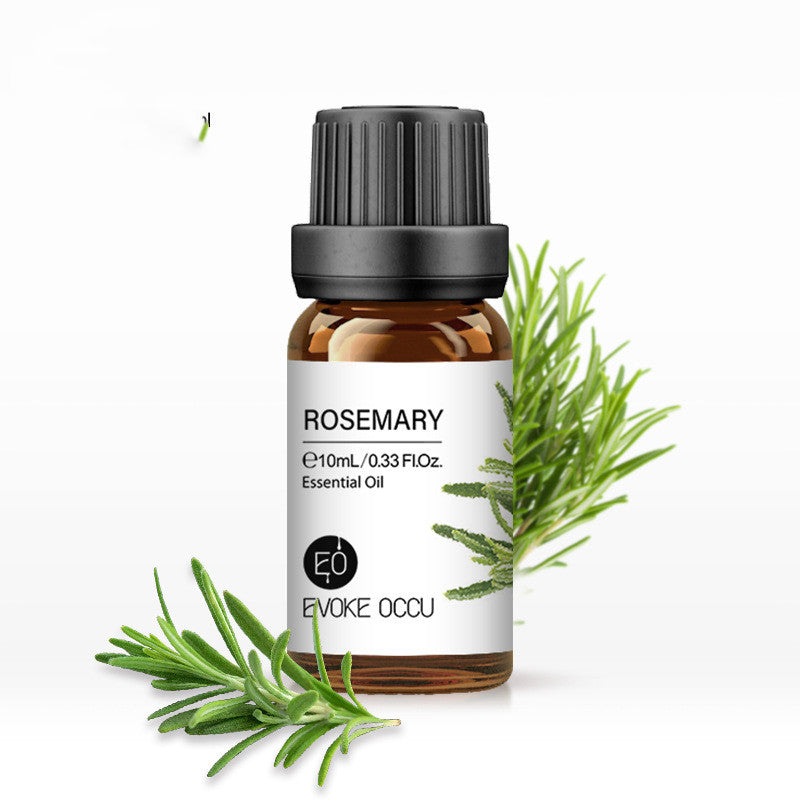✨ Aroma Essential Oil — Lavender Humidifier & Massage Oils Collection (10ml) 🌿💧