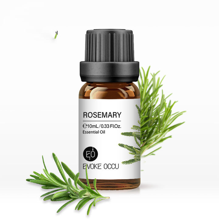 ✨ Aroma Essential Oil — Lavender Humidifier & Massage Oils Collection (10ml) 🌿💧