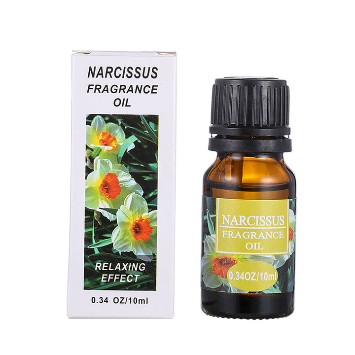 ✨ Lotus Malaysia Aromatherapy Essential Oil Set — Water-Soluble Diffuser Oils (20 × 10ml) 🌿💧
