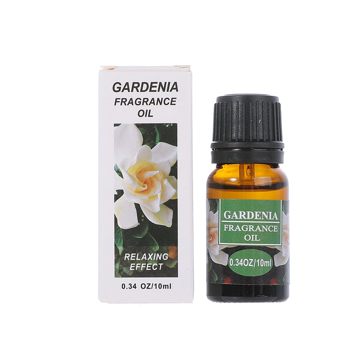 ✨ Lotus Malaysia Aromatherapy Essential Oil Set — Water-Soluble Diffuser Oils (20 × 10ml) 🌿💧