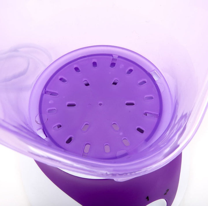 💨🔥 Hot-Selling Ion Hot Spray Steamer | Home Steam Beauty Instrument