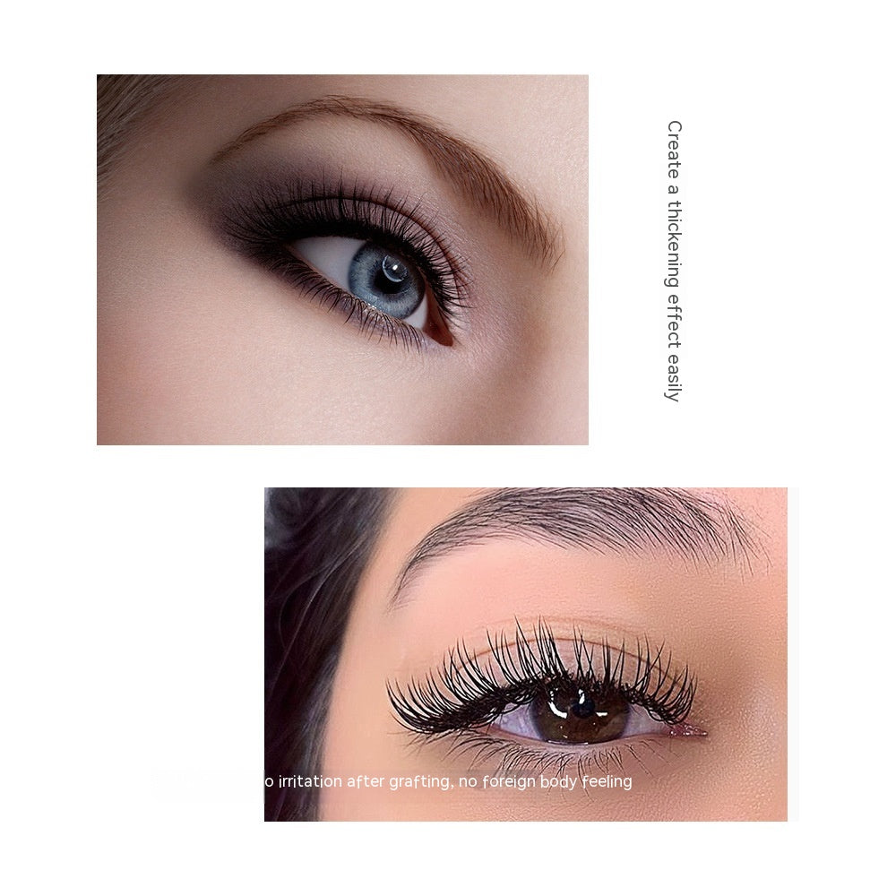 👁️✨ 16 Rows Assortment Pack – Single Round Hair Grafting Eyelashes