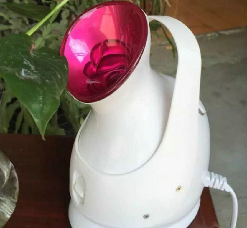 💨✨ Humidifying Steaming Machine | Facial Moisturizing Steam Beauty Device