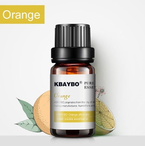 ✨  Aromatherapy Essential Oil & Humidifier Use — 10ml 🌿💧