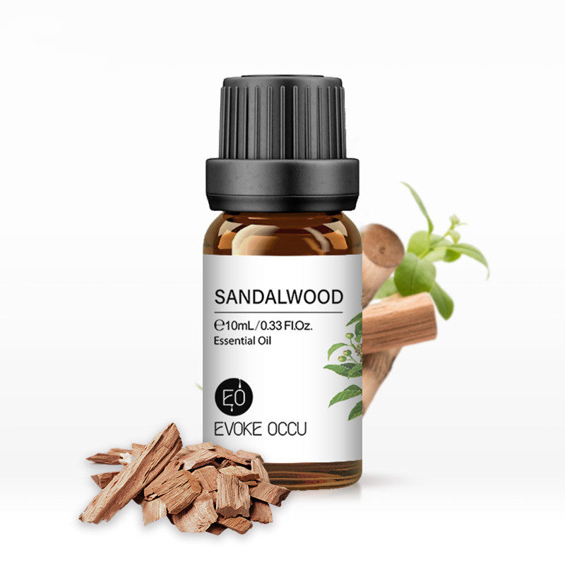 ✨ Aroma Essential Oil — Lavender Humidifier & Massage Oils Collection (10ml) 🌿💧