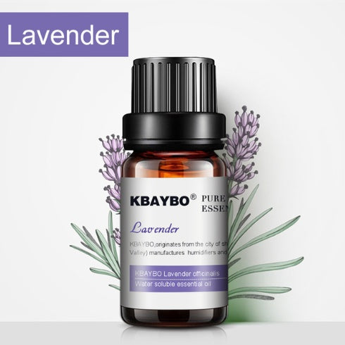 ✨ Botanical Aromatherapy Essential Oil — 10ml Natural Fragrance Oil 🌿💧