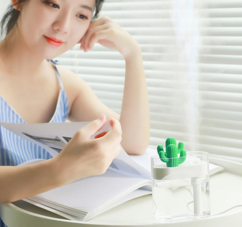 🌵💧 Transparent Landscape Cactus Humidifier | Portable Mini USB Mist Diffuser