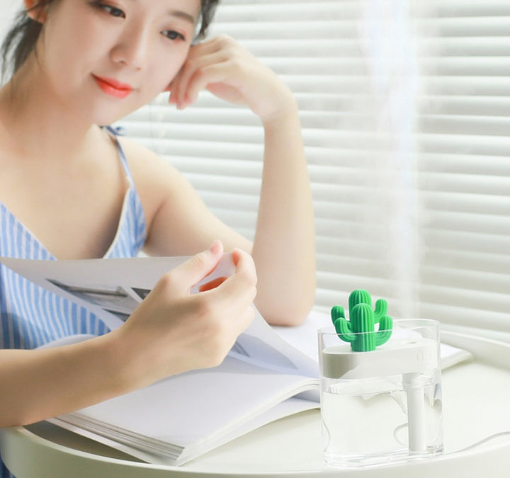 🌵💧 Transparent Landscape Cactus Humidifier | Portable Mini USB Mist Diffuser
