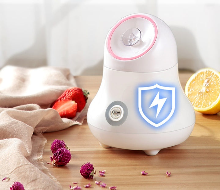 💨✨ Hot Spray Water Steamer | Home Facial Spa Beauty Device