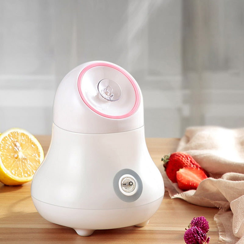 💨✨ Hot Spray Water Steamer | Home Facial Spa Beauty Device