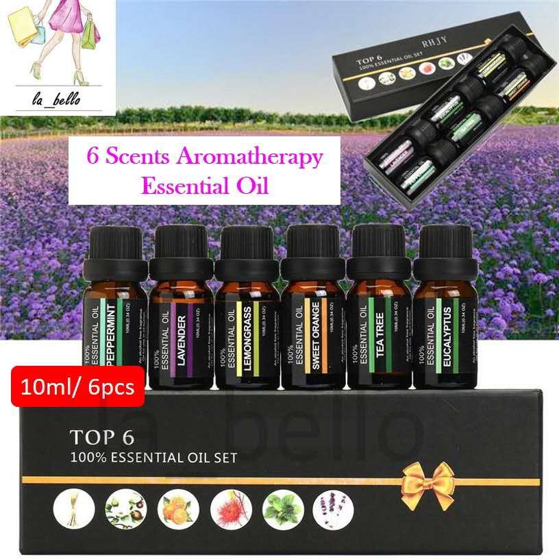 ✨ Aromatherapy Essential Oil Set — 6 × 10ml Massage & Diffuser Oils 🌿💧