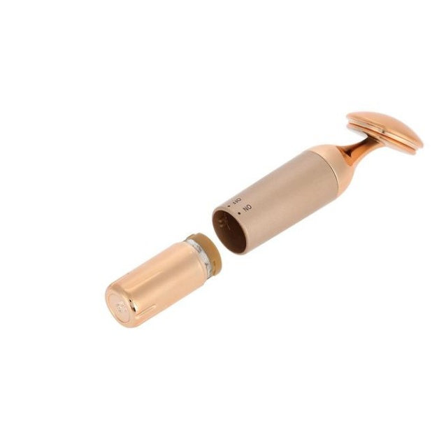 💖✨ Beauty Equipment Home Electric Facial Importer | Vibration Massage & Skin Introduction Device