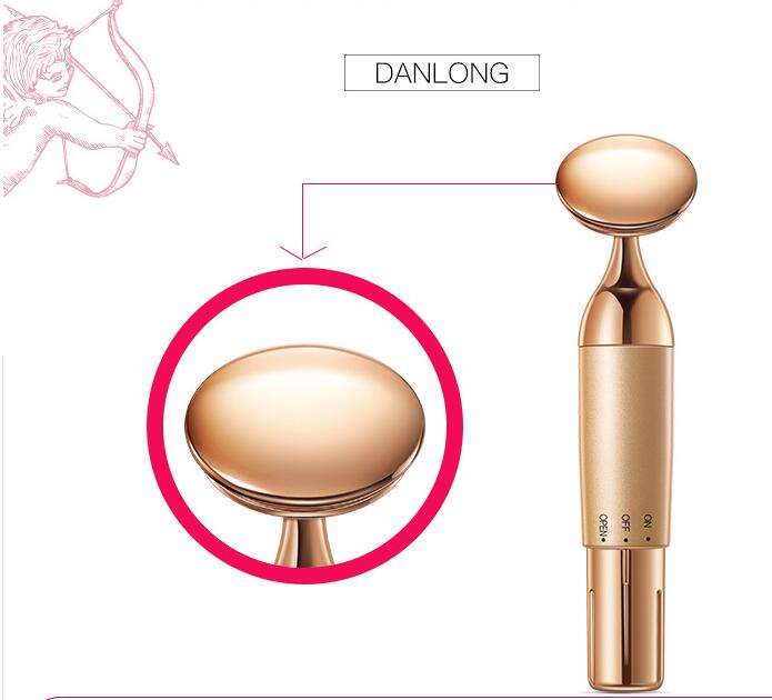 💖✨ Beauty Equipment Home Electric Facial Importer | Vibration Massage & Skin Introduction Device