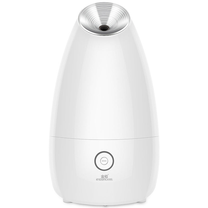 💨✨ Face Steamer Beauty Instrument | Steam Face Sprayer Spa Device