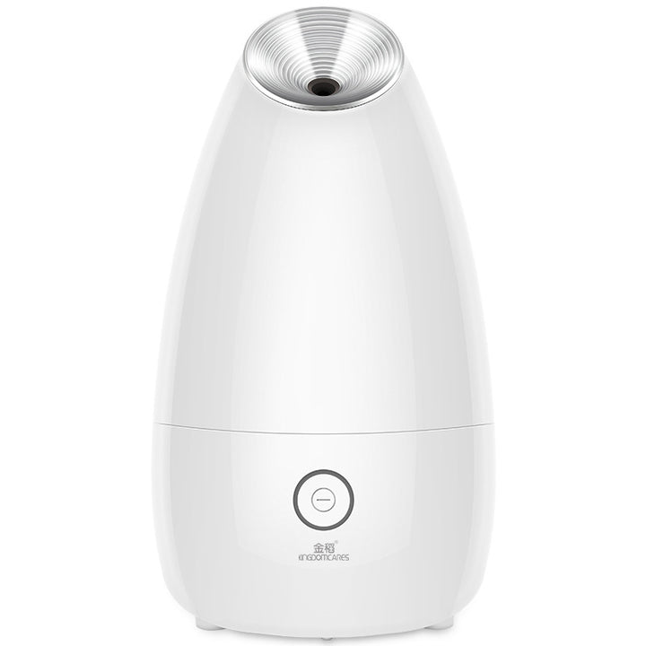💨✨ Face Steamer Beauty Instrument | Steam Face Sprayer Spa Device