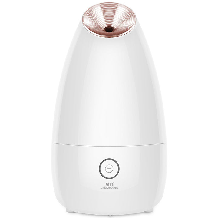 💨✨ Face Steamer Beauty Instrument | Steam Face Sprayer Spa Device