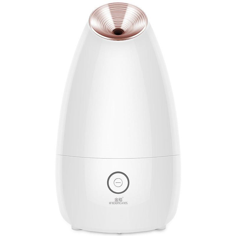 💨✨ Face Steamer Beauty Instrument | Steam Face Sprayer Spa Device