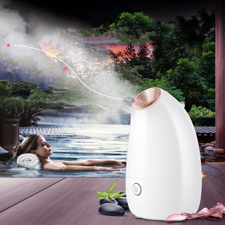 💨✨ Face Steamer Beauty Instrument | Steam Face Sprayer Spa Device