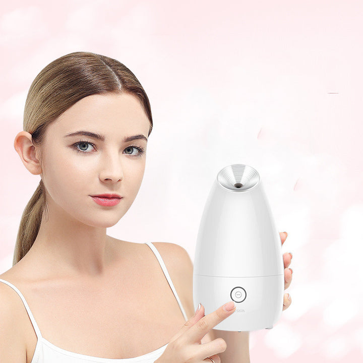 💨✨ Face Steamer Beauty Instrument | Steam Face Sprayer Spa Device