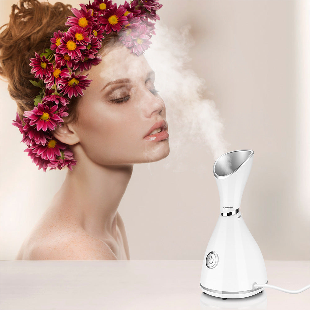 💆‍♀️🌫️ Beauty Steamer Facial Humidifier | Hot Spray Facial Moisturizer Device