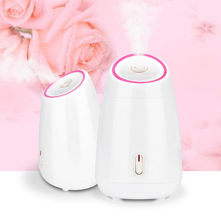 💧🍃 Household Nano Moisturizing Spray | Thermal Facial Steamer Beauty Device