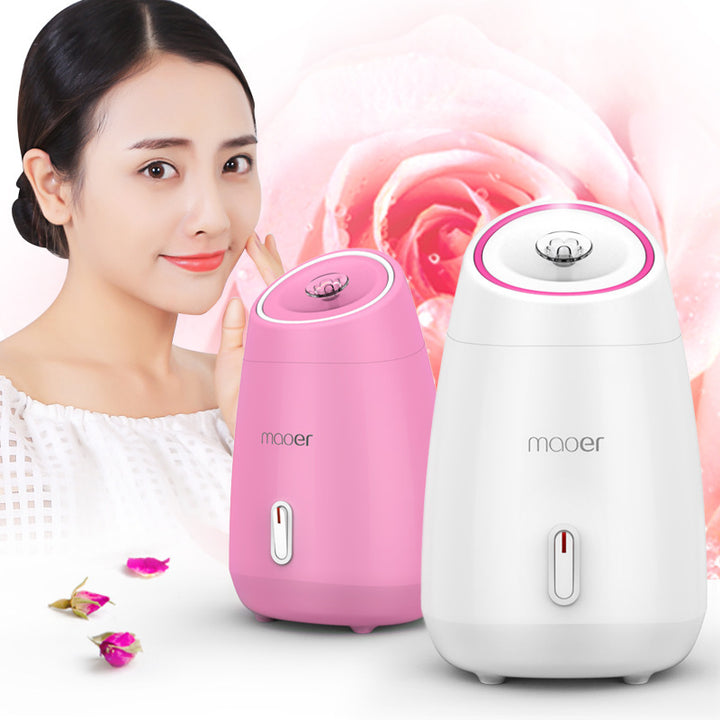 🍃💨 Fruit & Vegetable Face Steamer | Hot Spray Home Beauty Device