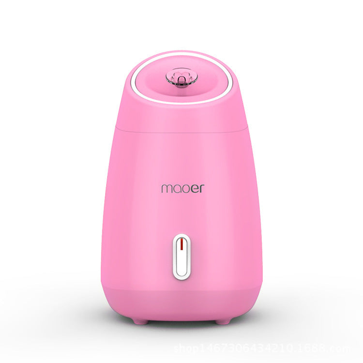 🍃💨 Fruit & Vegetable Face Steamer | Hot Spray Home Beauty Device