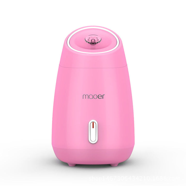 🍃💨 Fruit & Vegetable Face Steamer | Hot Spray Home Beauty Device