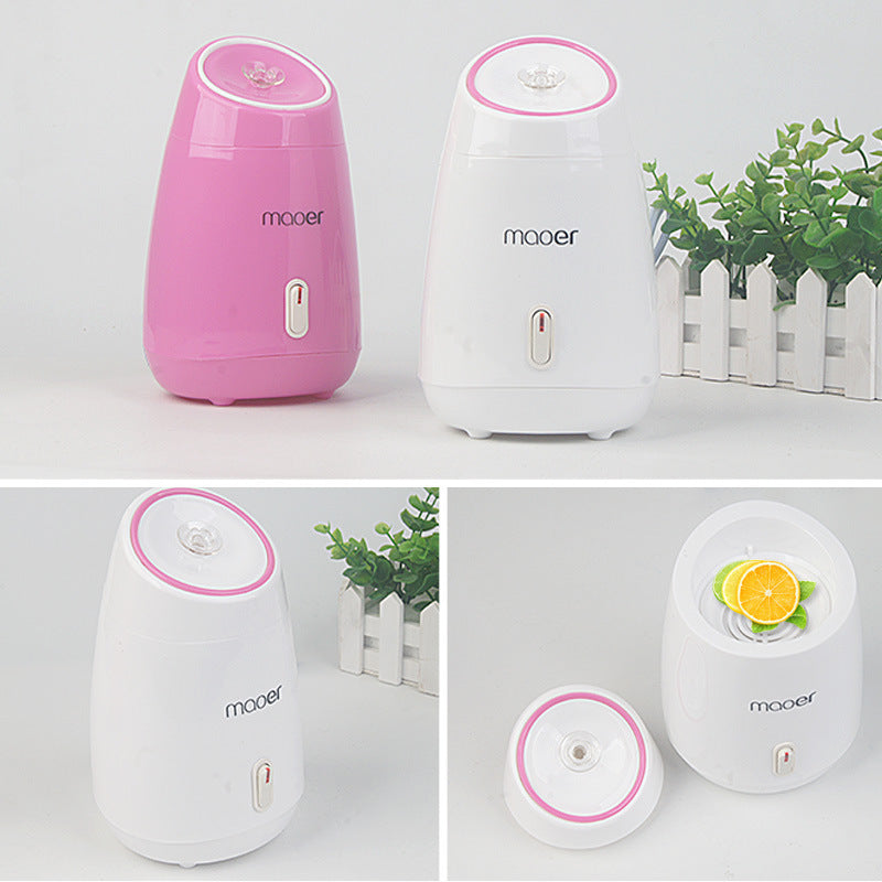 🍃💨 Fruit & Vegetable Face Steamer | Hot Spray Home Beauty Device