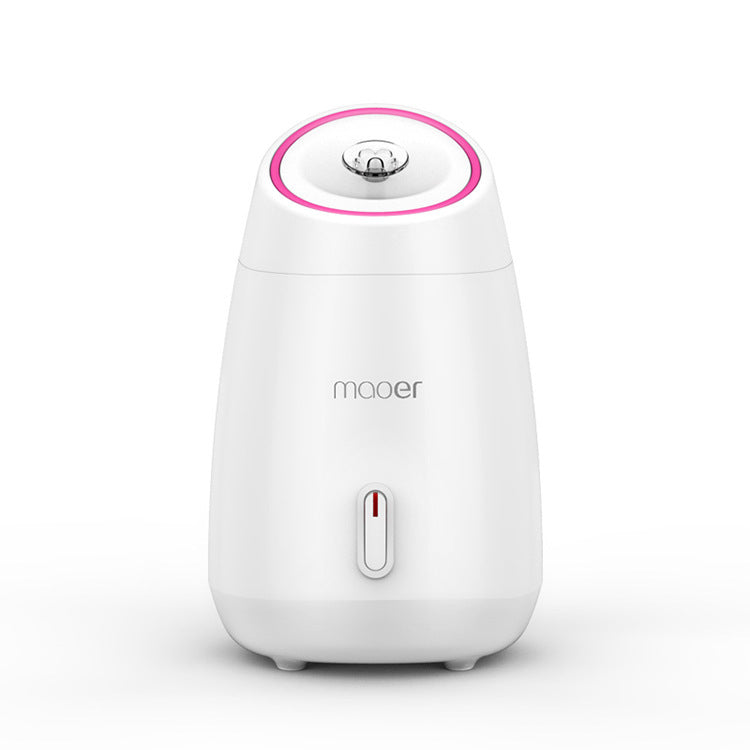 🍃💨 Fruit & Vegetable Face Steamer | Hot Spray Home Beauty Device