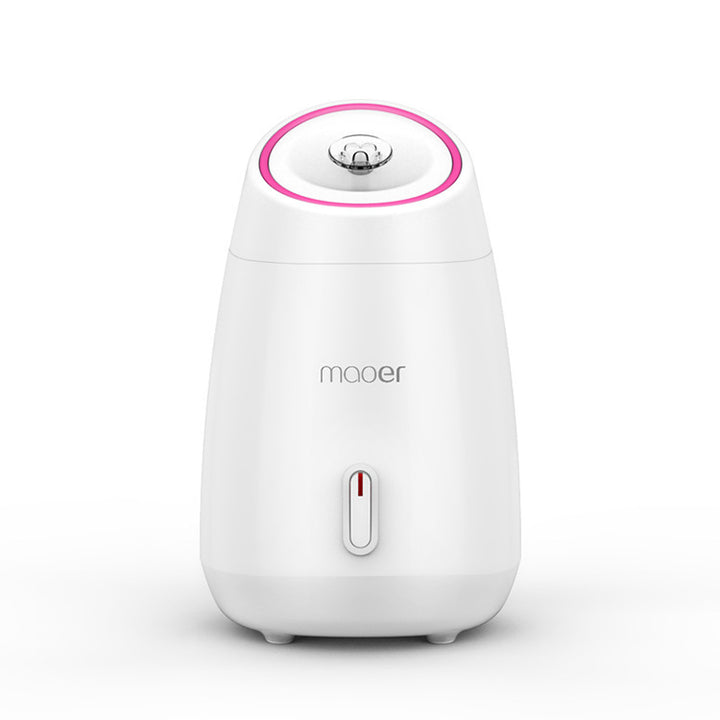 🍃💨 Fruit & Vegetable Face Steamer | Hot Spray Home Beauty Device