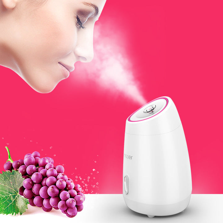 🍃💨 Fruit & Vegetable Face Steamer | Hot Spray Home Beauty Device