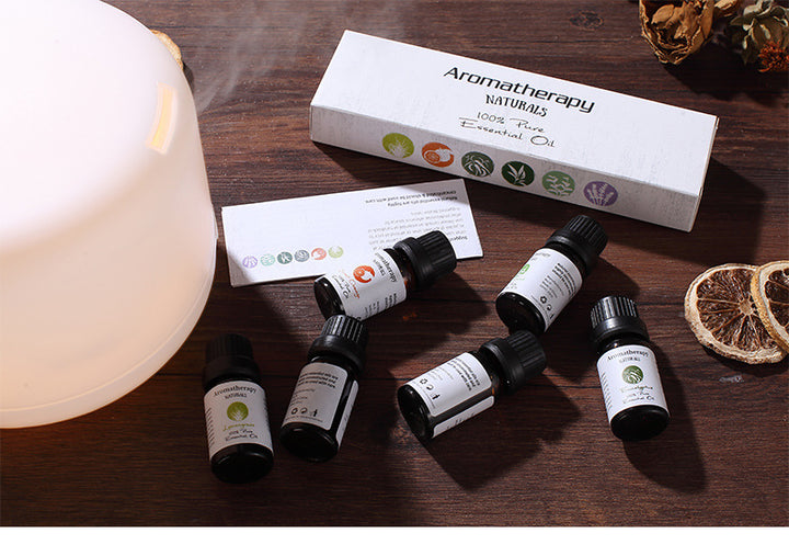 🌿 Aromatherapy Essential Oil Set – Lavender Blend (6 Bottles)
