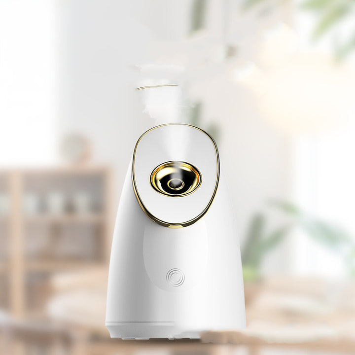 💨✨ New UV Beauty Steaming Face Sprayer | Thermal Facial Spa Device