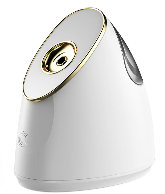💨✨ New UV Beauty Steaming Face Sprayer | Thermal Facial Spa Device