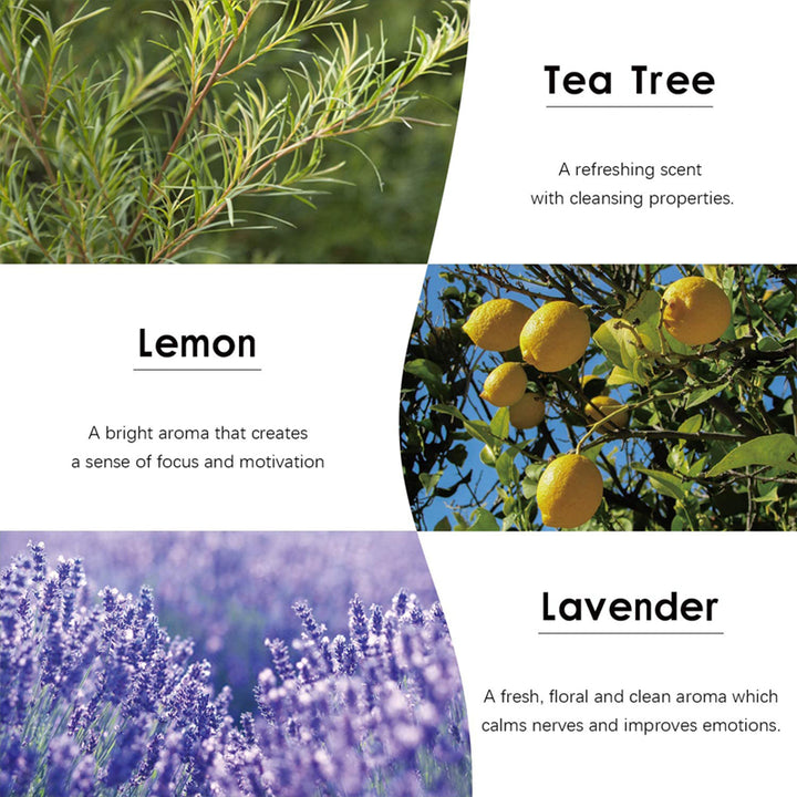 ✨ Aromatherapy Essential Oil Set — 6 Natural Plant Oils (10ml Each) 🌿💧
