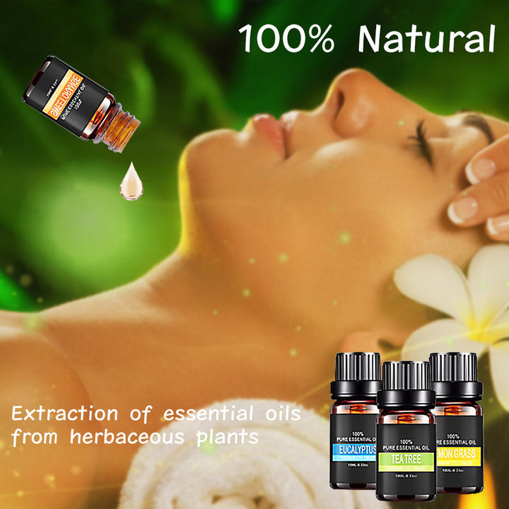 🌿 Organic Essential Oils Set – Top Sale Natural Therapeutic Grade Aromatherapy Gift Kit