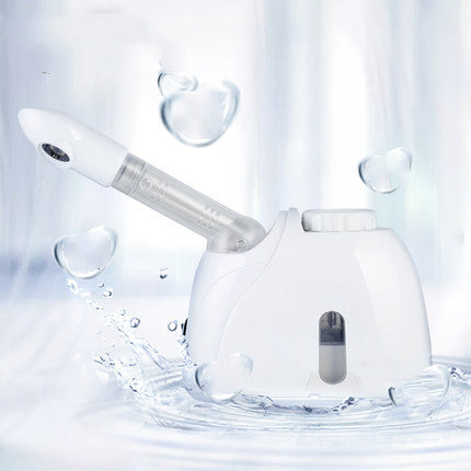 💆‍♀️🌿 Facial Humidifier Herbal Steamer