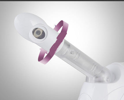 💆‍♀️🌿 Facial Humidifier Herbal Steamer