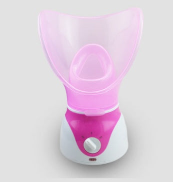 💨🔥 Hot-Selling Ion Hot Spray Steamer | Home Steam Beauty Instrument