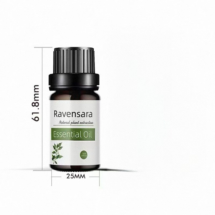 ✨ Preserved Rose & White Tea Botanical Body Care Essential Oil (10ml) 🌹🍃💧