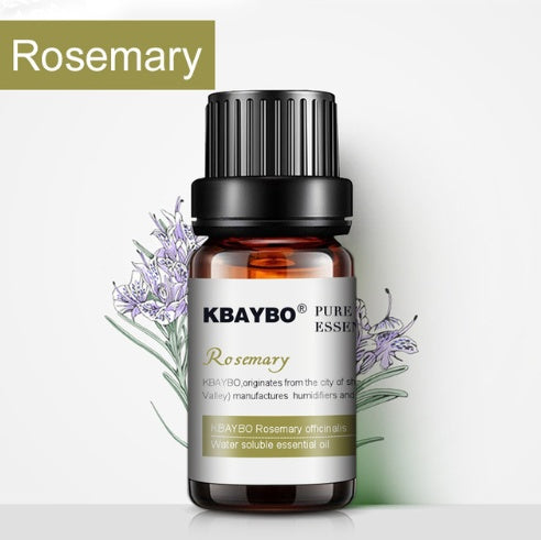 ✨  Aromatherapy Essential Oil & Humidifier Use — 10ml 🌿💧