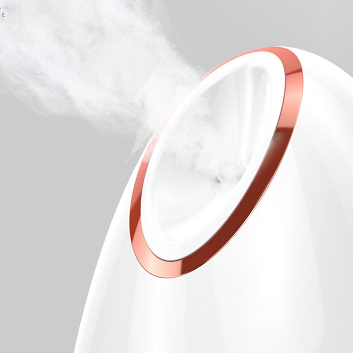 💨✨ Nano Thermal Spray Moisturizing Face Steamer | Facial Beauty Device